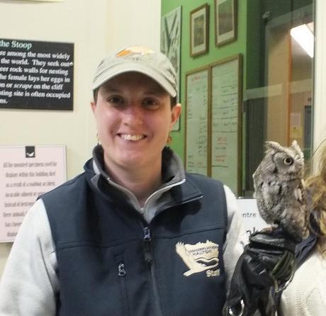 Sandra holds a Eastern Screech Owl on her hand - Mountsberg Raptor Centre