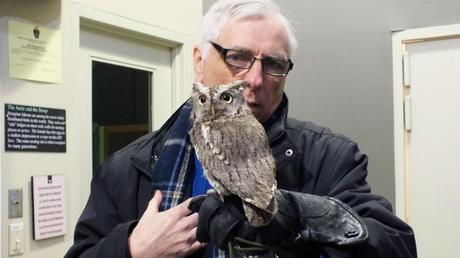 Bob interacts with an Eastern Screech owl at the Mountsberg Raptor Centre