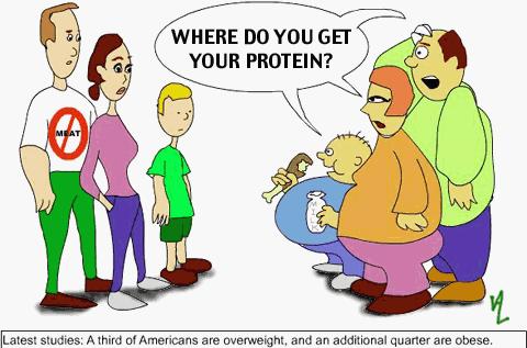 vegetarian-protein