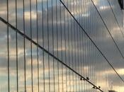 87/365 Reflection Clyde