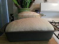 Flour Tales:  My journey in bread making.