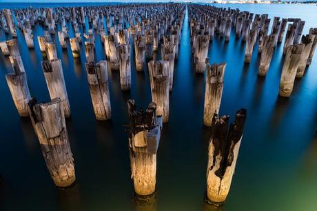 timber pylons in water