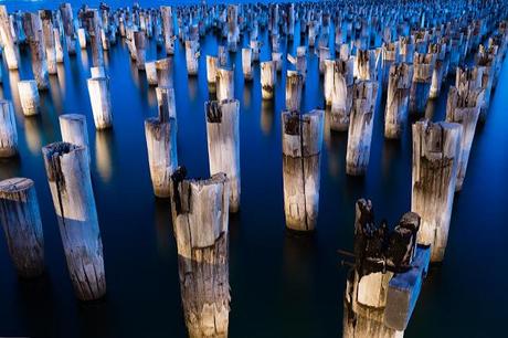 timber pylons in water at princes pier