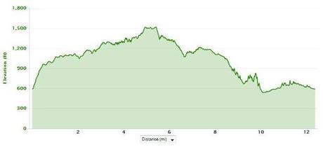Canyon Meadows Trail Half