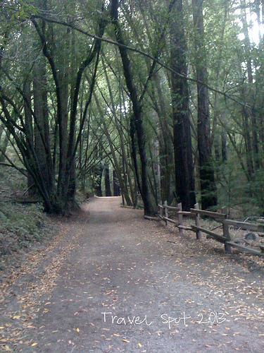 Canyon Meadows Trail Half stream trail