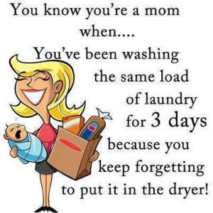527820 601734269854411 267230160 n 300x300 Housework Chores; Do They Ever End?