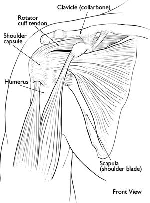 Frozen Shoulder: Causes and Treatment