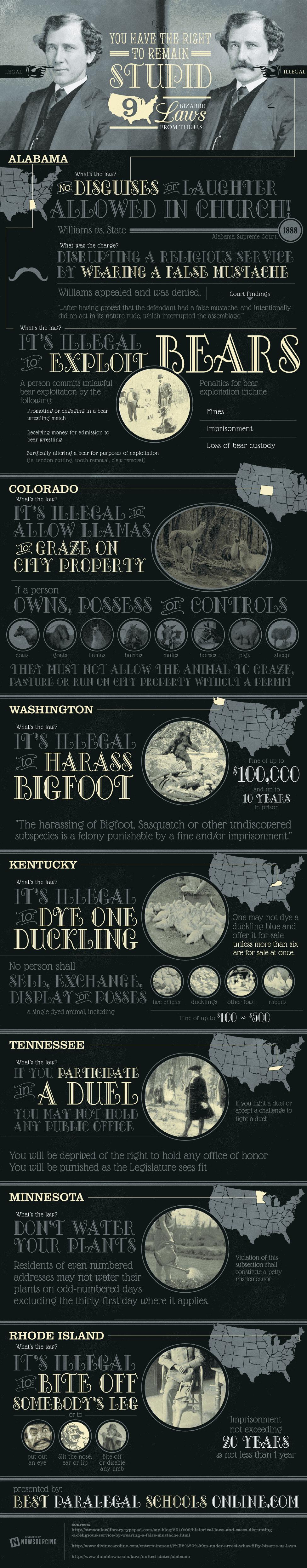 9 Bizarre Laws From the U.S.