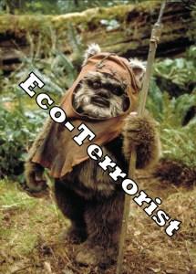 lrgscalemagnet-star-wars-ewok