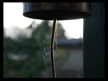 bell and cobweb