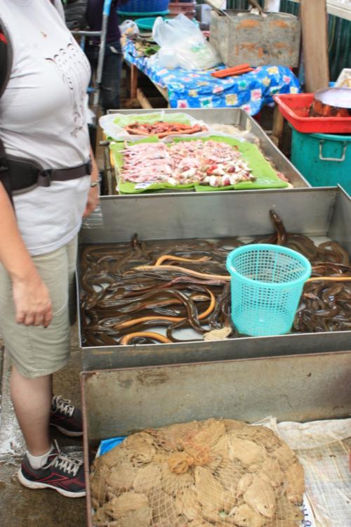 Need some wriggling snakes for dinner? This is your place.