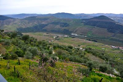 a day in douro