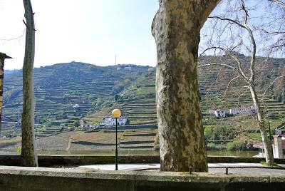 a day in douro