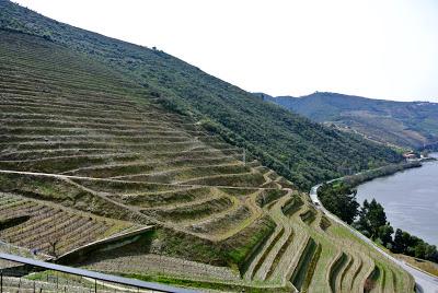 a day in douro