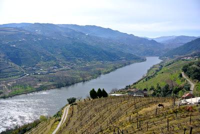 a day in douro