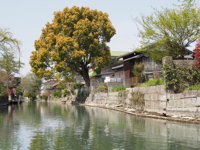 P3300017 柳川，ドンコ舟に揺られて / Yanagawa,the city of water