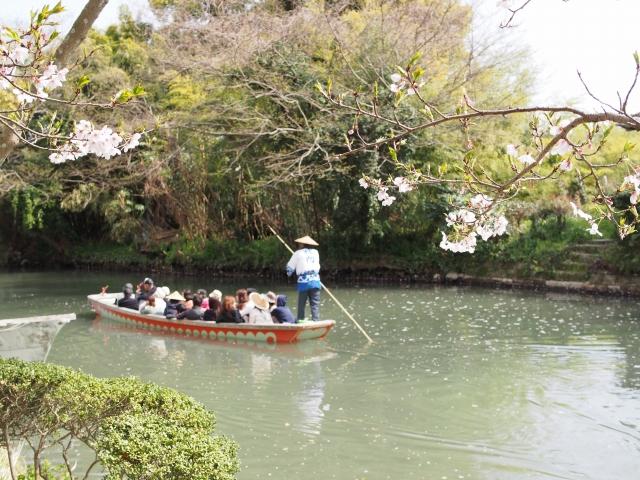 P3300109 柳川，ドンコ舟に揺られて / Yanagawa,the city of water