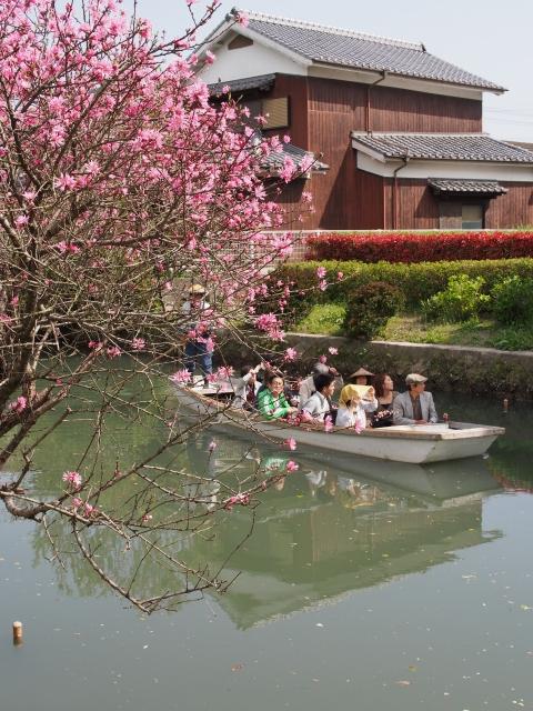 P3300120 柳川，ドンコ舟に揺られて / Yanagawa,the city of water