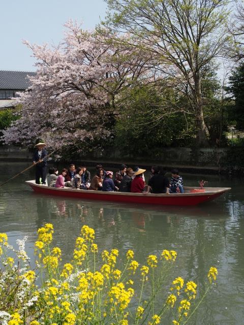 P3300087 柳川，ドンコ舟に揺られて / Yanagawa,the city of water