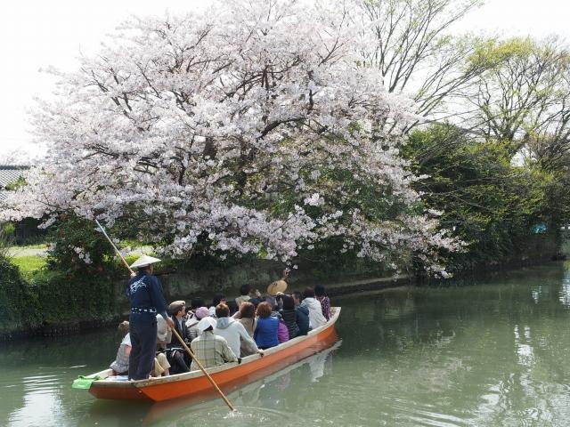 P3300088 柳川，ドンコ舟に揺られて / Yanagawa,the city of water