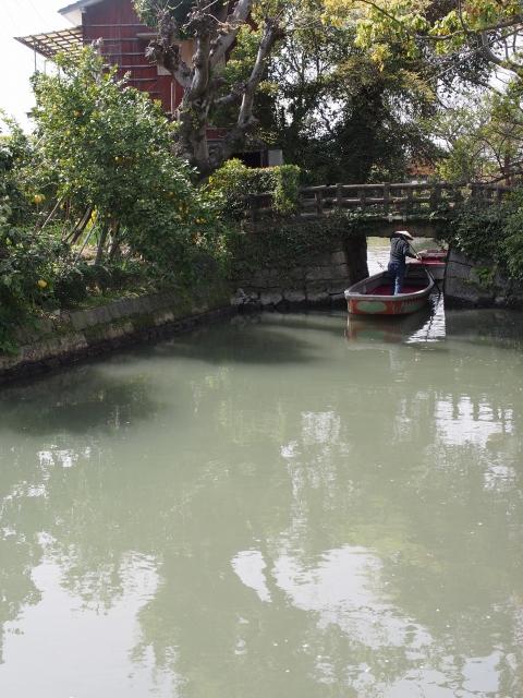 P3300099 柳川，ドンコ舟に揺られて / Yanagawa,the city of water