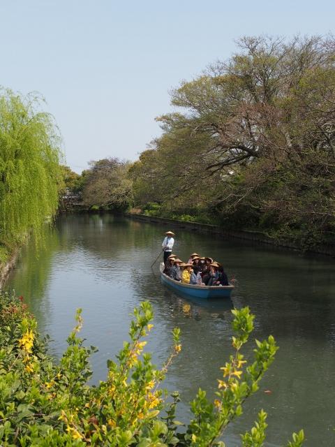 P3300122 柳川，ドンコ舟に揺られて / Yanagawa,the city of water