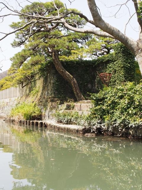 P3300050 柳川，ドンコ舟に揺られて / Yanagawa,the city of water