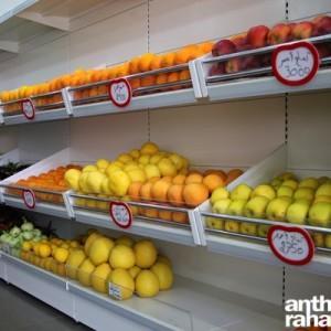 Tomate_Cerise_Vegetables_Antelias6