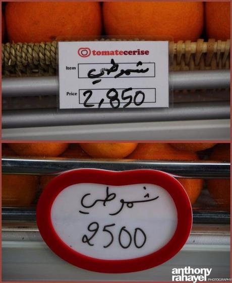 Tomate_Cerise_Vegetables_Antelias70