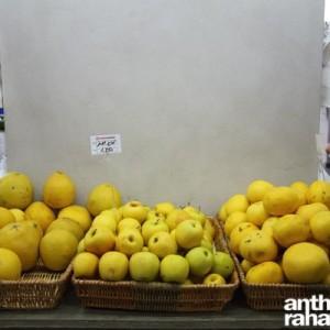 Tomate_Cerise_Vegetables_Antelias10