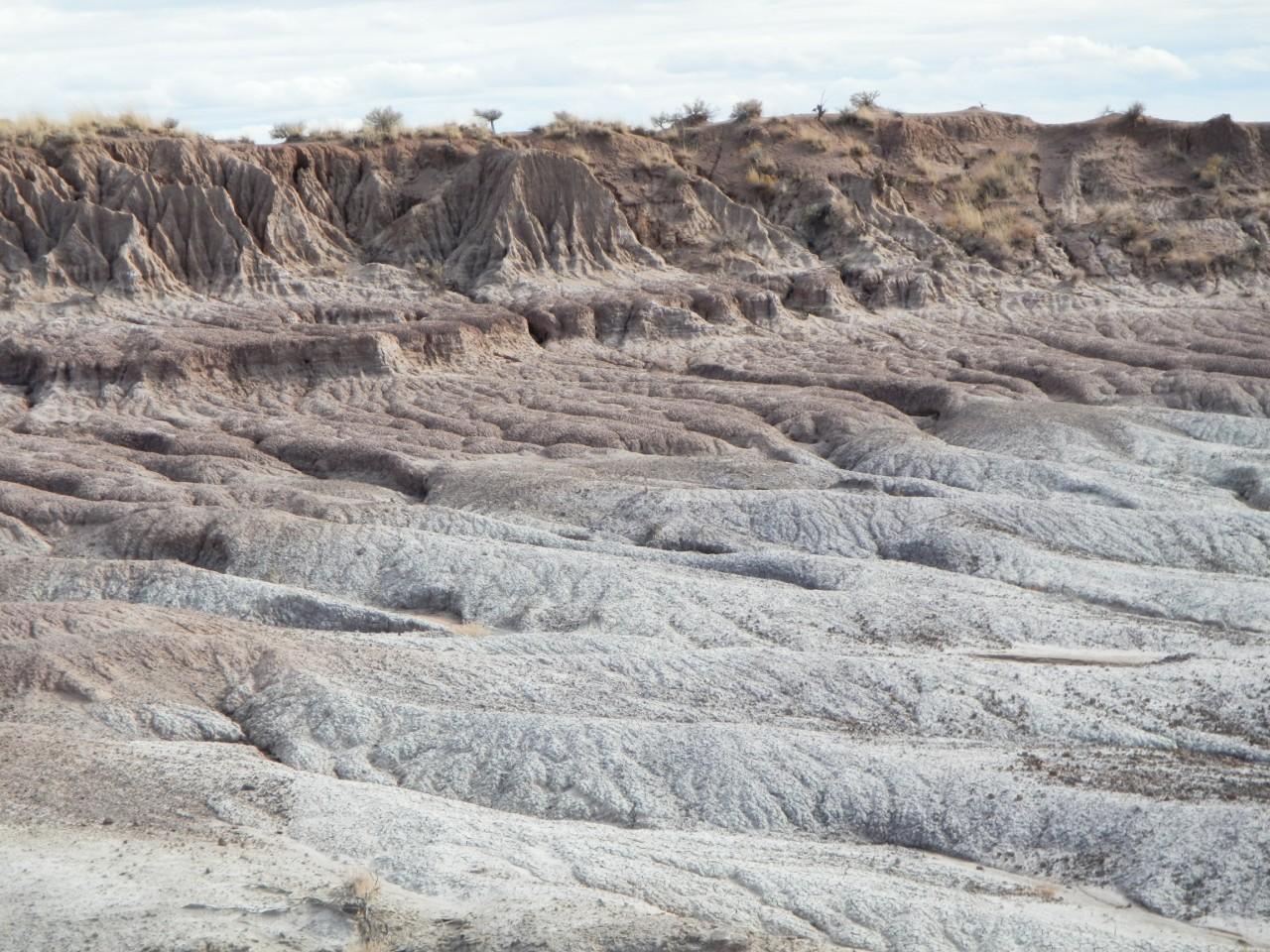 Petrified Forest Badlands