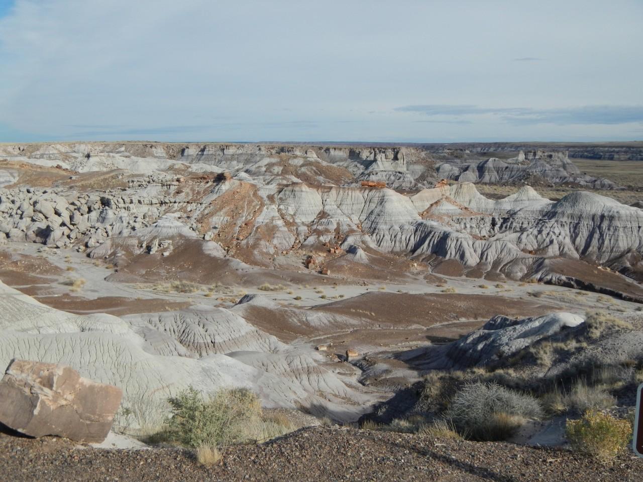 Petrified Forest Arizona 017