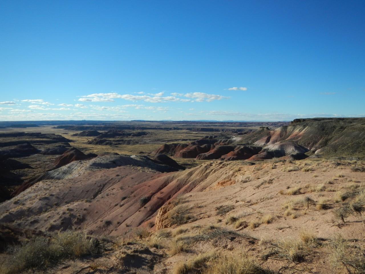 Petrified Forest Arizona 032