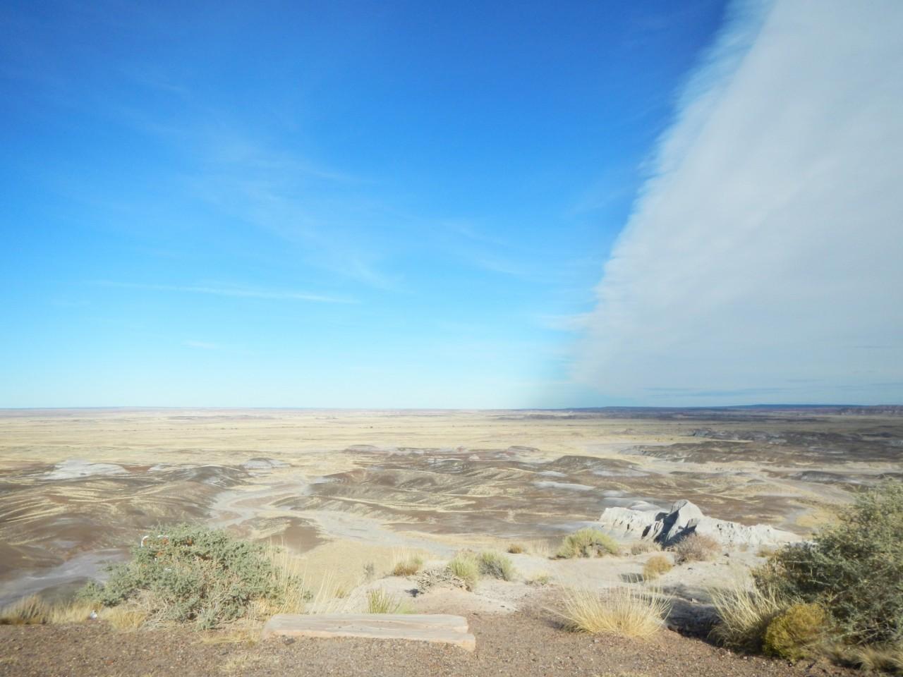 Petrified Forest Arizona