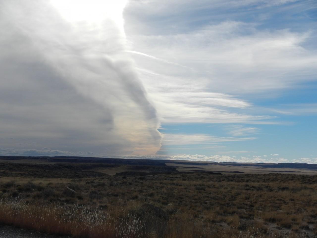 Petrified Forest National Park