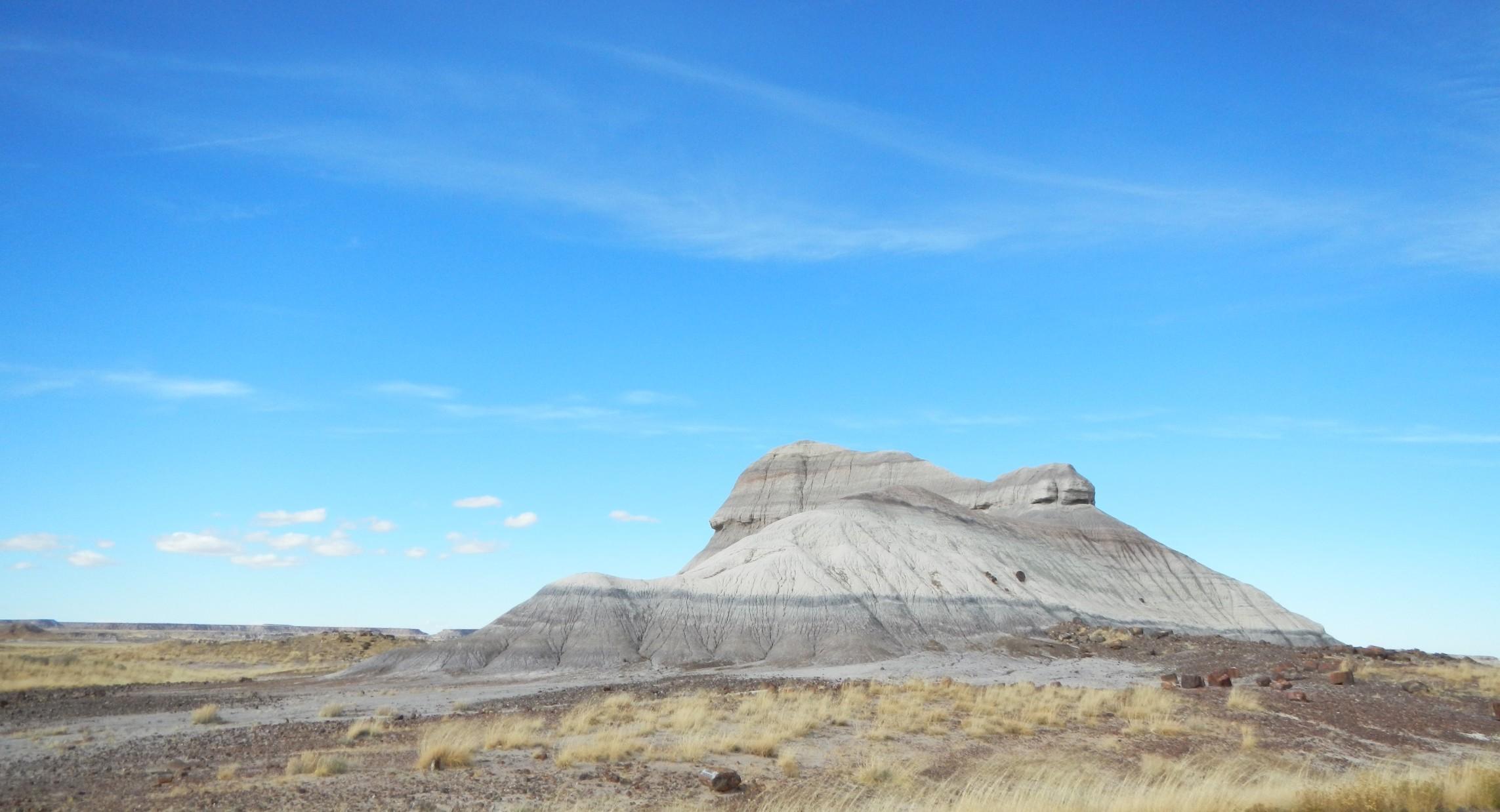 Petrified Forest Arizona