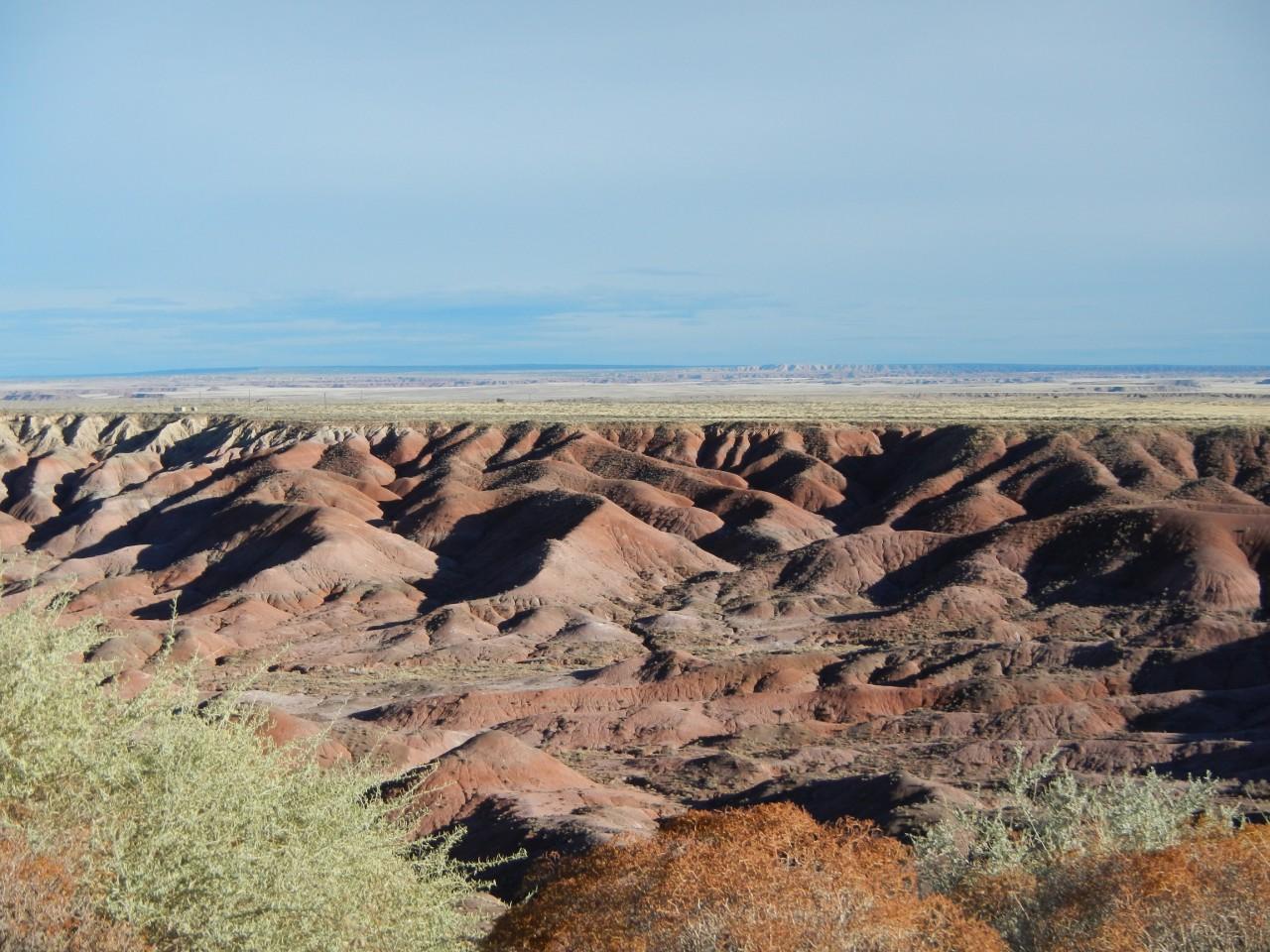 Petrified Forest Arizona 034