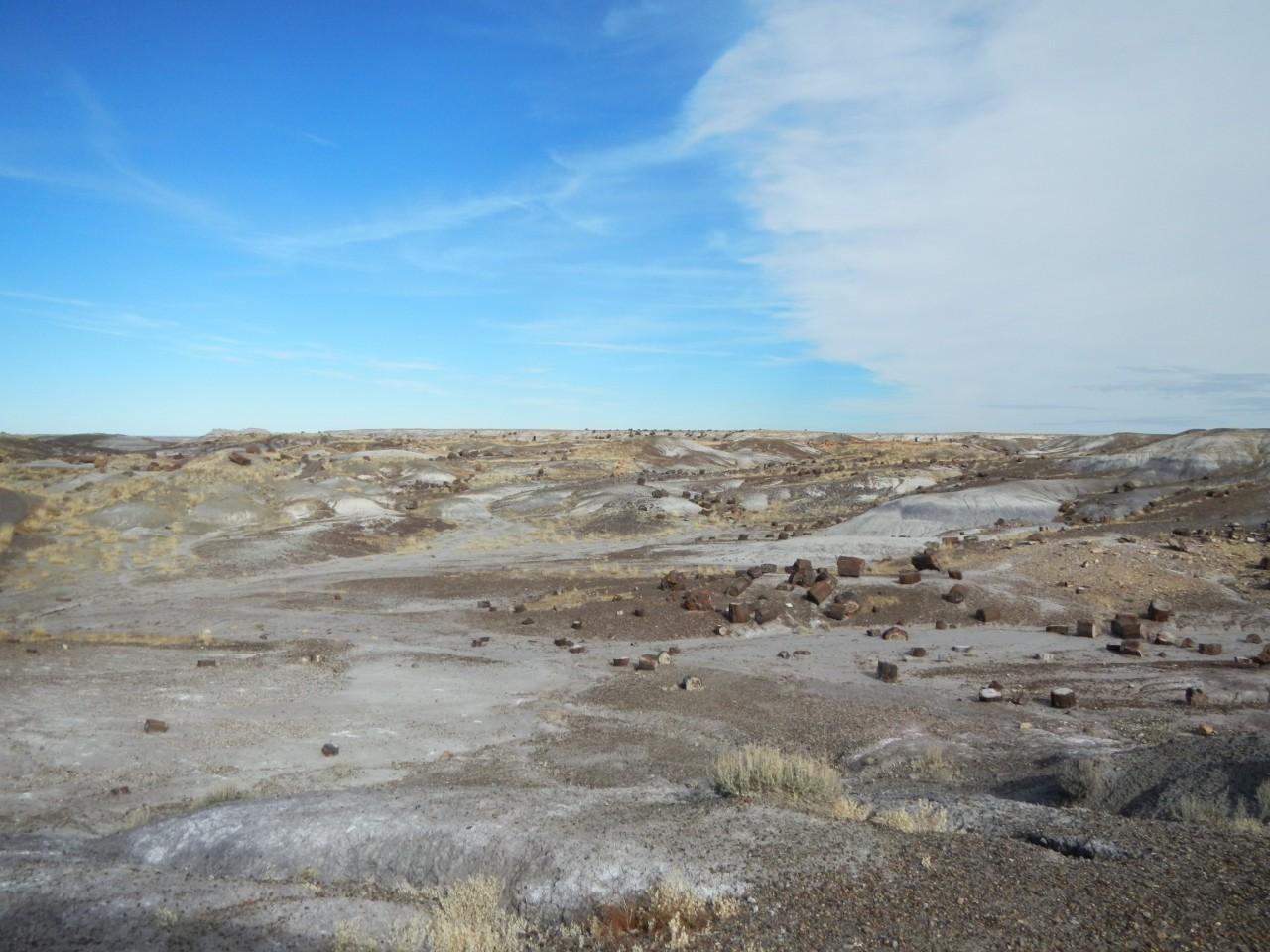 Petrified Forest Arizona 010