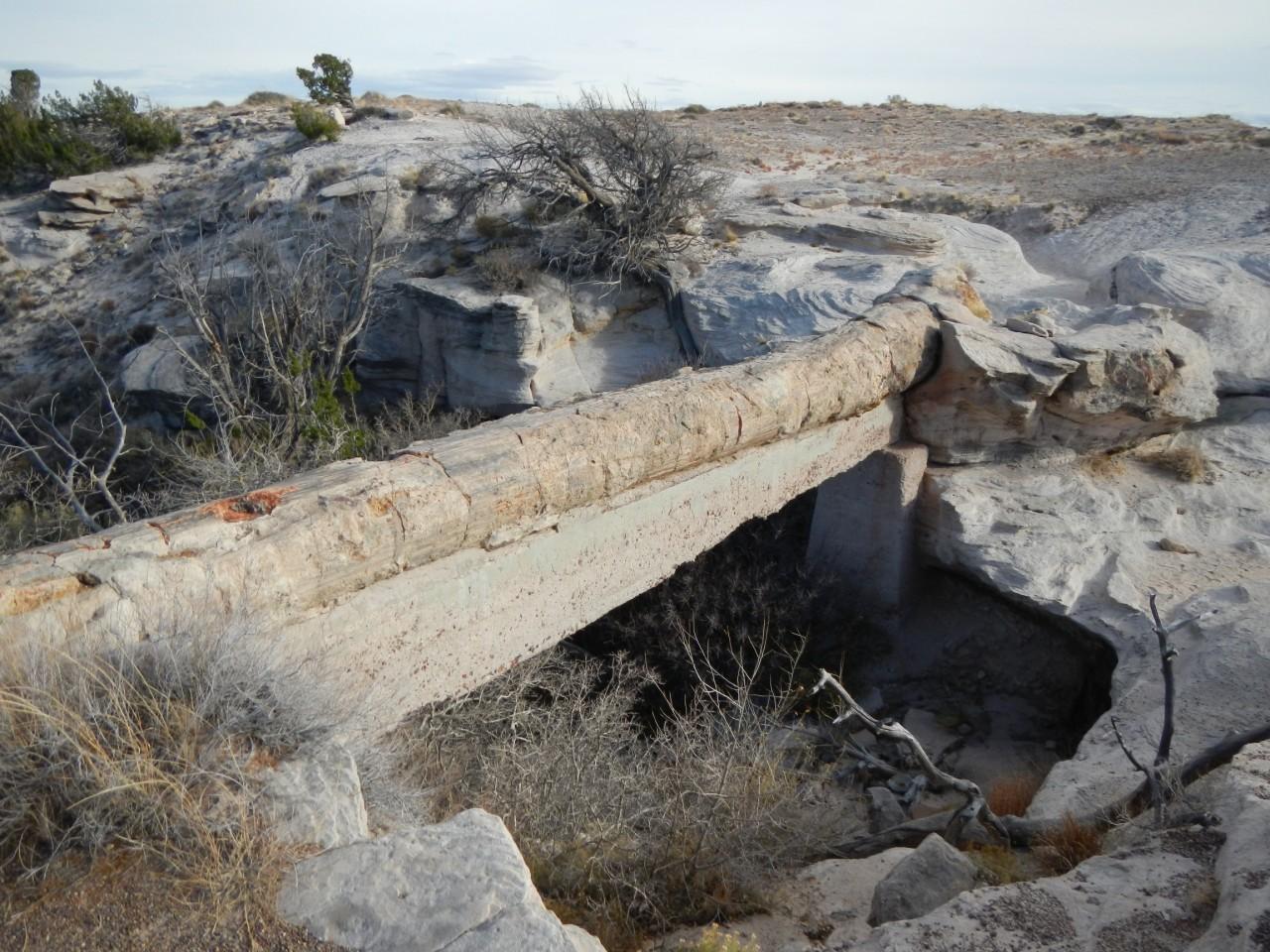 Wooden Bridge in the Petrified Forest