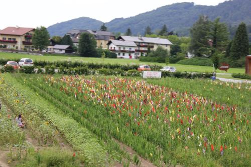 The Sound of Music tour