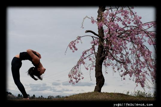 Spring finally emerges! 