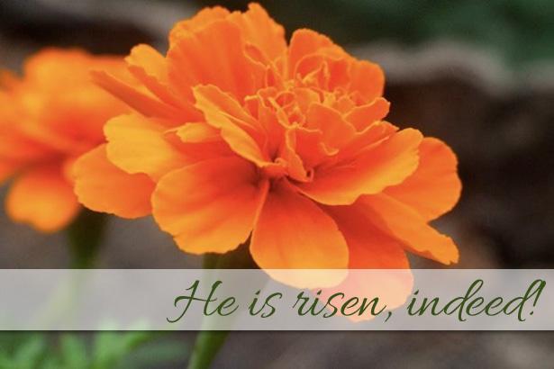He is risen, indeed!