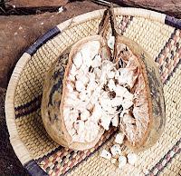 Baobab Fruit Pulp Powder - Aduna