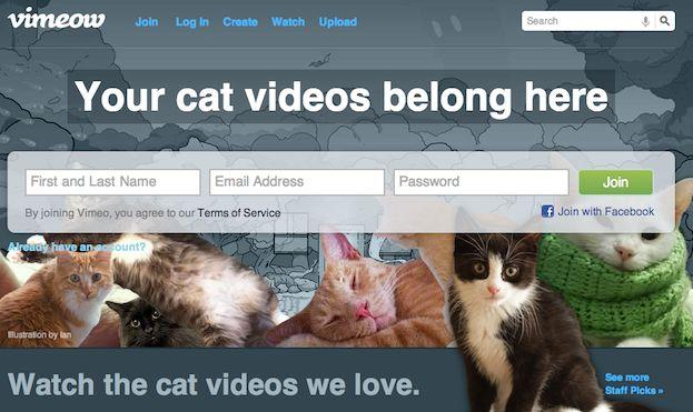 vimeo cat prank