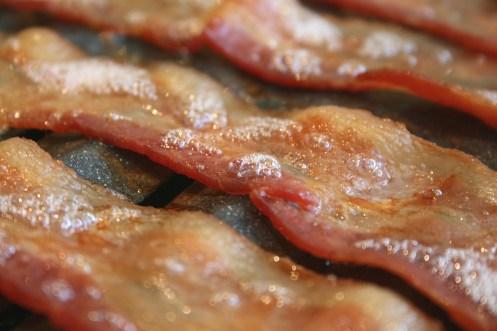 Is-anything-better-than-bacon...no_