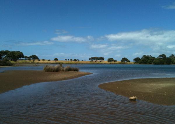 tawharanui lagoon 2