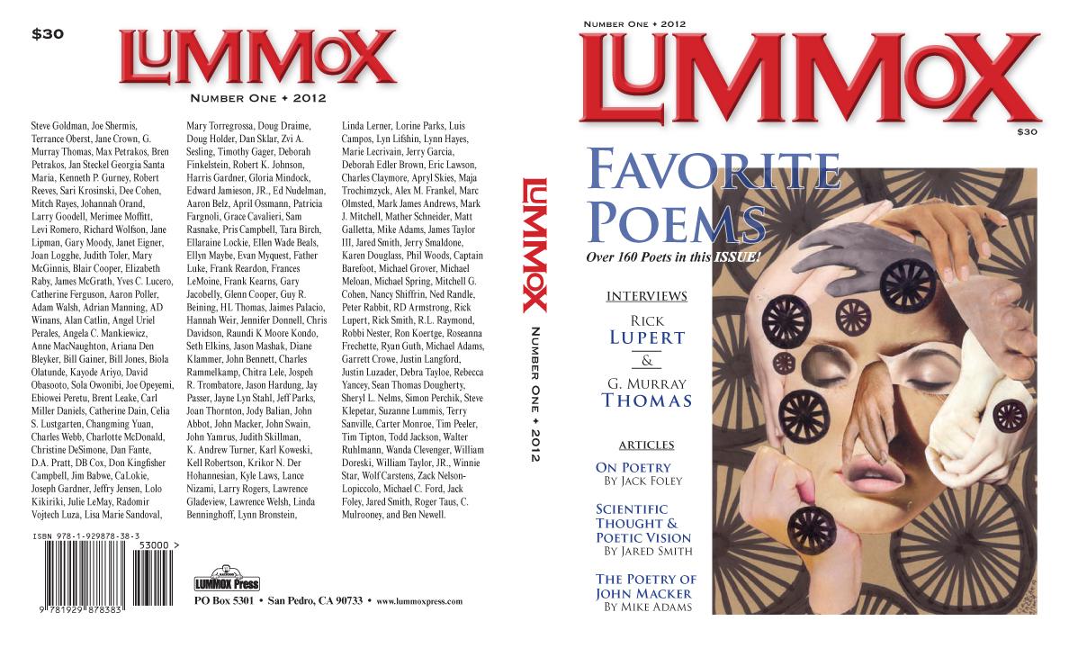 INTERVIEW WITH RAINDOG OF LUMMOX PRESS