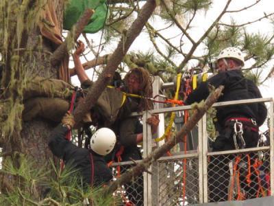 Tree sitters blocking Willits bypass route pulled from trees