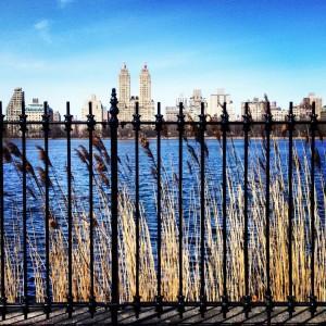 Lazy Sunday Stroll around Jacqueline Kennedy Onassis Reservoir where to walk in central park nyc