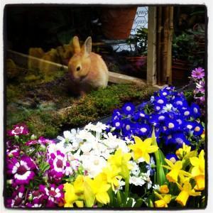 Lazy Sunday Stroll around Jacqueline Kennedy Onassis Reservoir new york city lifestyle fashion food fitness blog